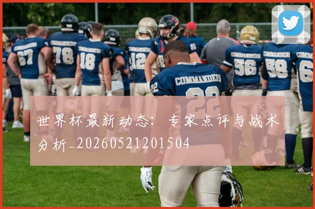 世界杯最新动态:专家点评与战术分析_20260521201504